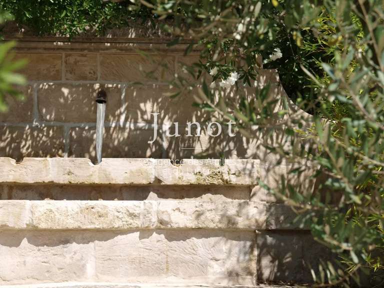 House Saint-Rémy-de-Provence - 6 bedrooms - 650m²