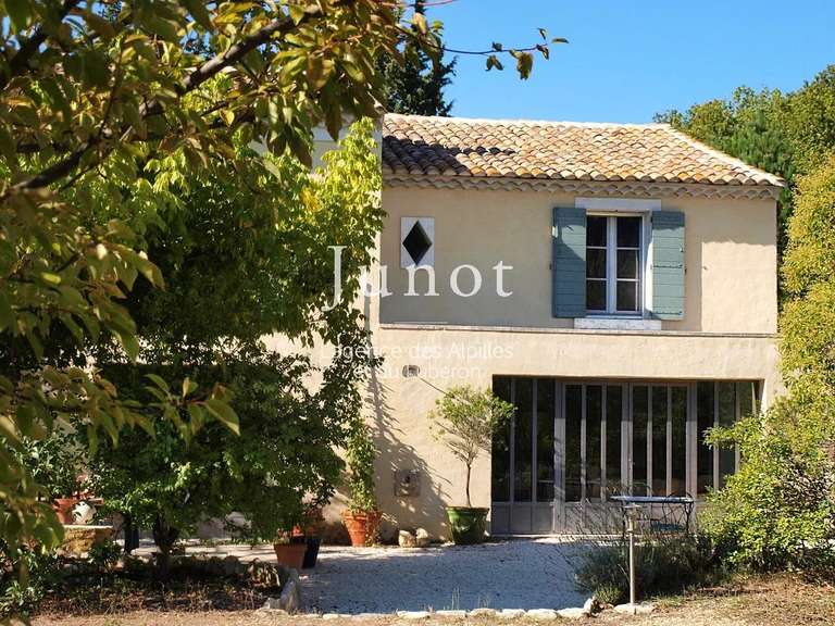 House Saint-Rémy-de-Provence - 6 bedrooms - 650m²