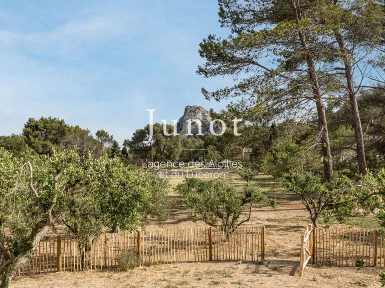 House Saint-Rémy-de-Provence - 4 bedrooms - 250m²