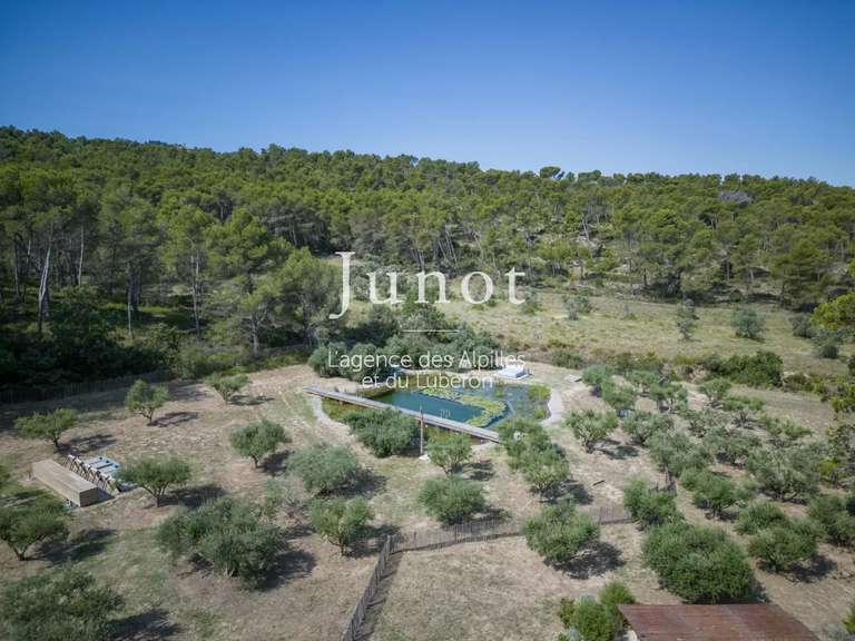 House Saint-Rémy-de-Provence - 4 bedrooms - 250m²