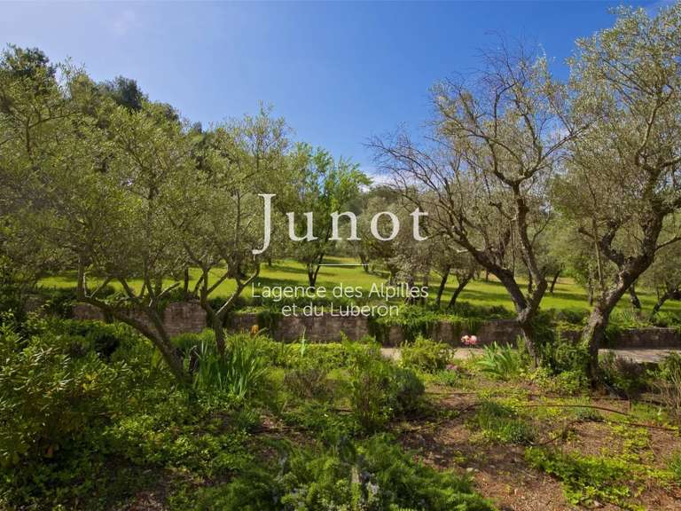 House Saint-Rémy-de-Provence - 8 bedrooms - 400m²
