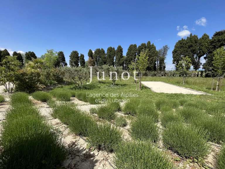 House Saint-Rémy-de-Provence - 5 bedrooms - 400m²