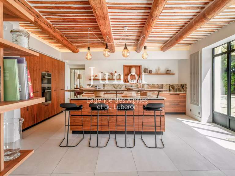 House Saint-Rémy-de-Provence - 6 bedrooms - 280m²