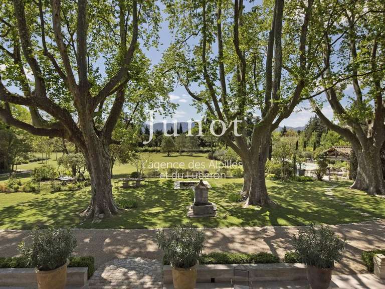 House Saint-Rémy-de-Provence - 10 bedrooms - 30000m²