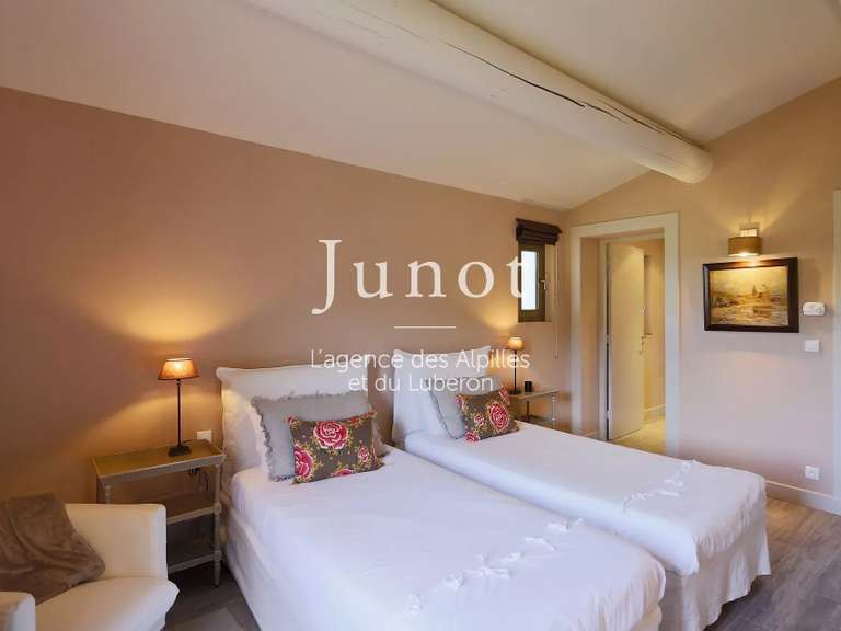 House Saint-Rémy-de-Provence - 7 bedrooms - 10000m²