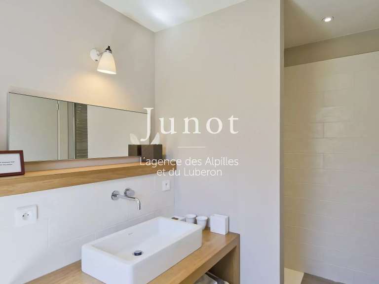 House Saint-Rémy-de-Provence - 7 bedrooms - 10000m²