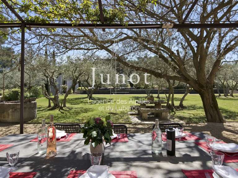 House Saint-Rémy-de-Provence - 7 bedrooms - 10000m²