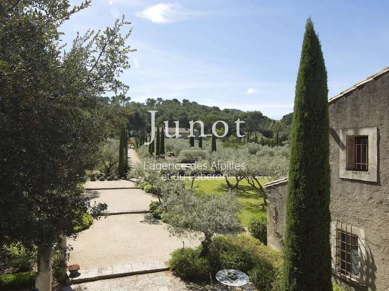 House Saint-Rémy-de-Provence - 7 bedrooms - 10000m²
