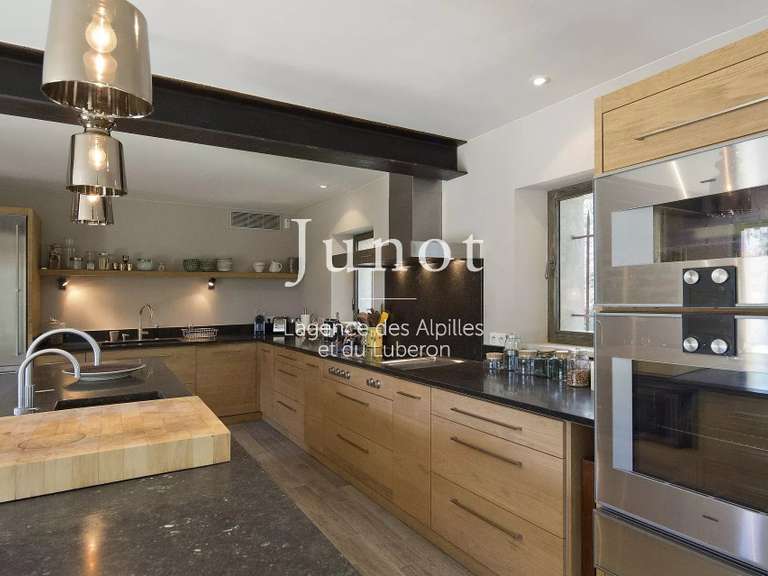House Saint-Rémy-de-Provence - 7 bedrooms - 10000m²