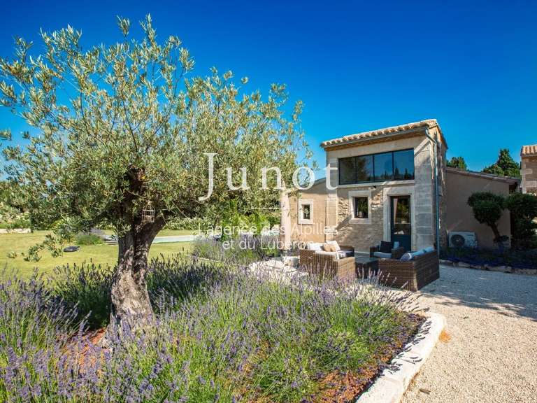House Saint-Rémy-de-Provence - 4 bedrooms - 290m²