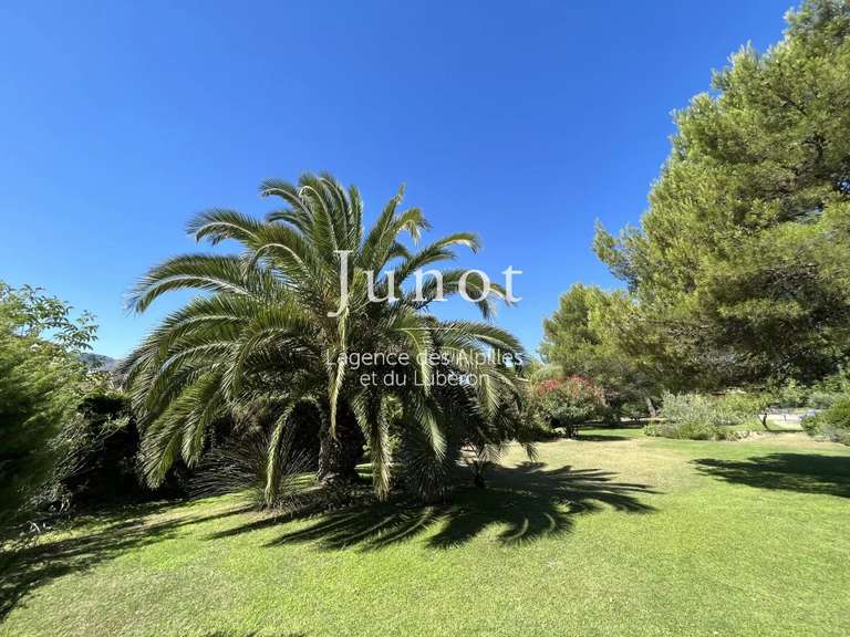 House Saint-Rémy-de-Provence - 6 bedrooms - 300m²