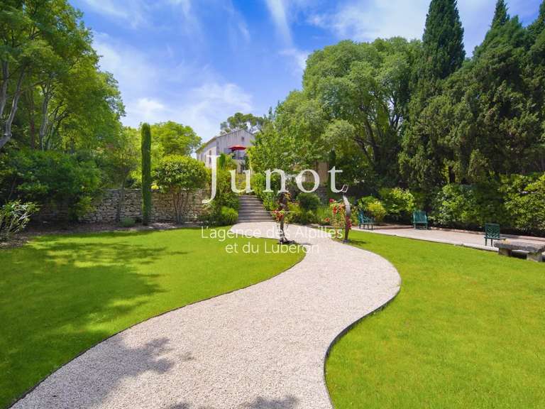 House Saint-Rémy-de-Provence - 8 bedrooms - 5000m²