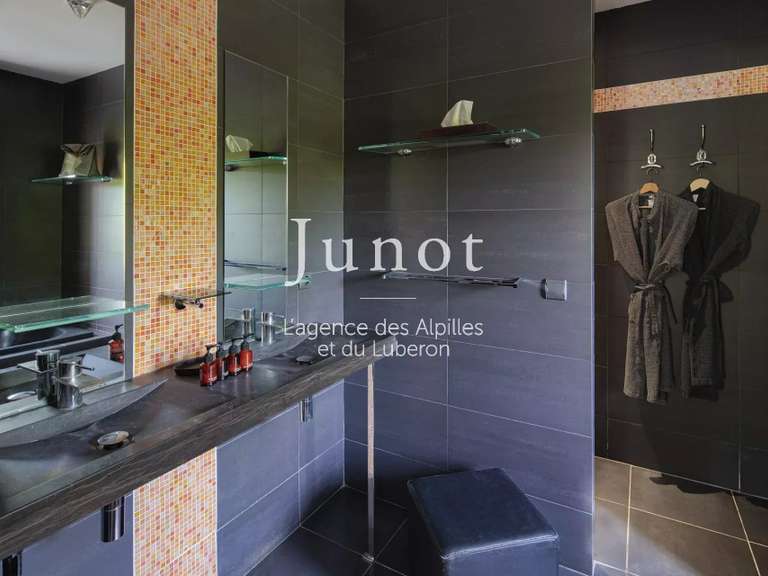 House Saint-Rémy-de-Provence - 8 bedrooms - 5000m²