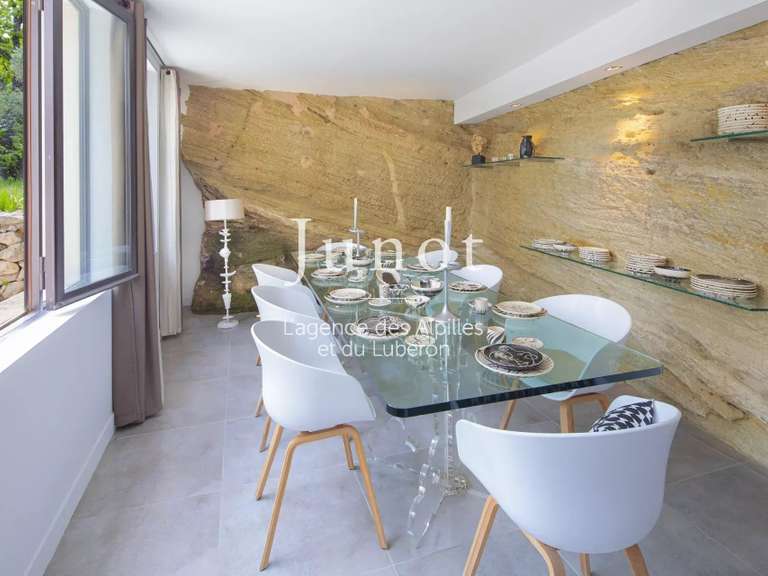 House Saint-Rémy-de-Provence - 8 bedrooms - 5000m²