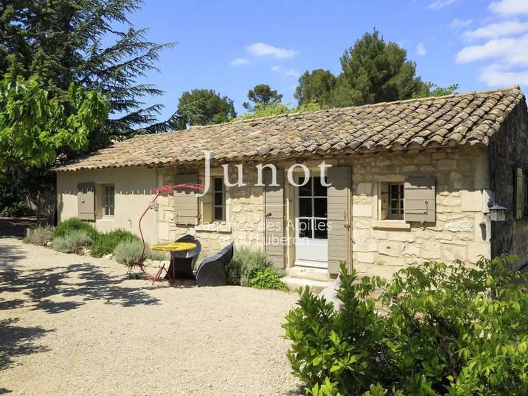 House Saint-Rémy-de-Provence - 8 bedrooms - 5000m²