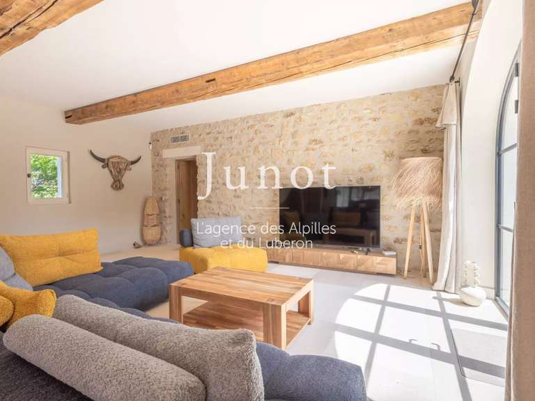 Maison Saint-Rémy-de-Provence - 4 chambres - 220m²