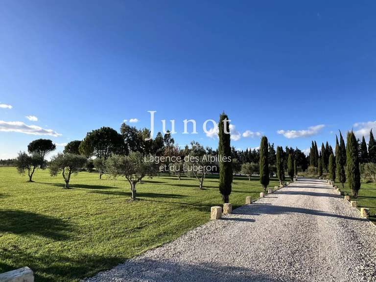 Maison Saint-Rémy-de-Provence - 5 chambres - 280m²