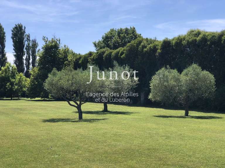 Maison Saint-Rémy-de-Provence - 5 chambres - 580m²