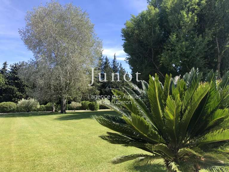 Maison Saint-Rémy-de-Provence - 5 chambres - 580m²