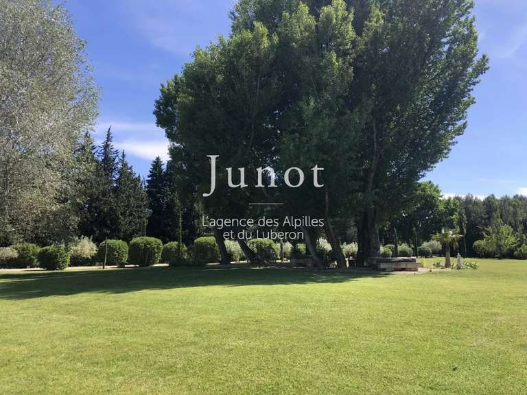 Maison Saint-Rémy-de-Provence - 5 chambres - 580m²