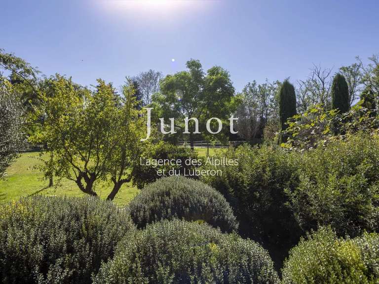Maison Saint-Rémy-de-Provence - 4 chambres - 281m²
