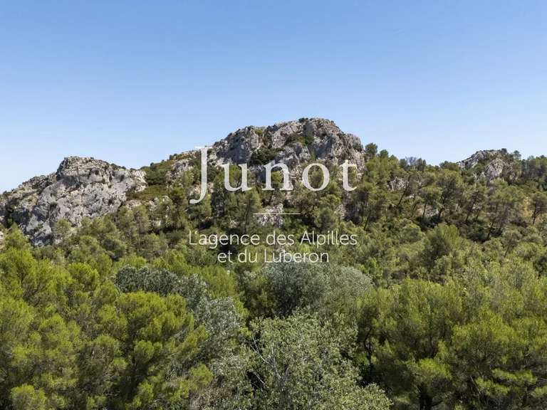 Maison Saint-Rémy-de-Provence - 4 chambres - 230m²