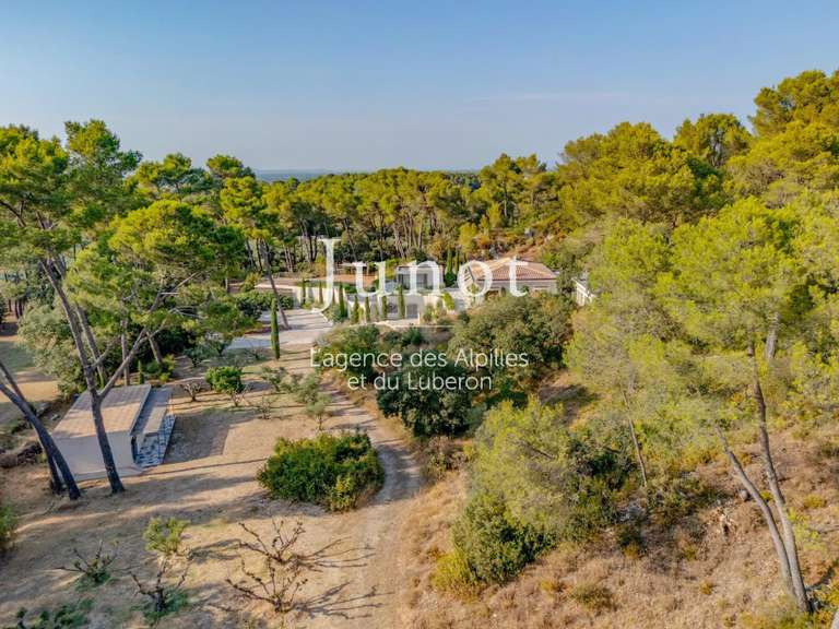Maison Saint-Rémy-de-Provence - 7 chambres - 350m²