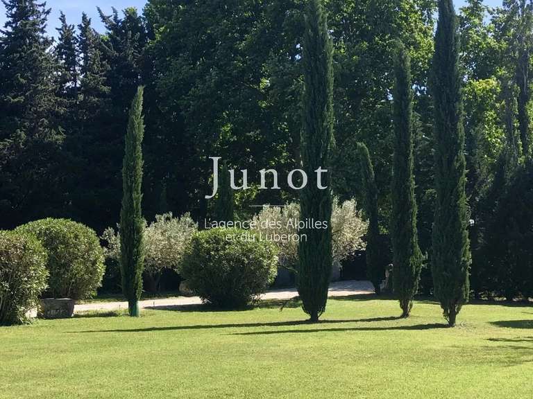 Maison Saint-Rémy-de-Provence - 5 chambres - 580m²