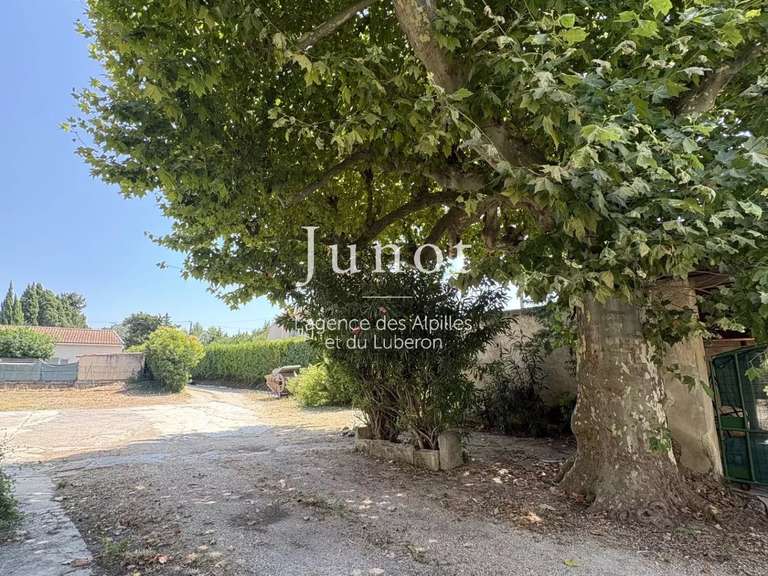 Maison Saint-Rémy-de-Provence - 4 chambres - 127m²