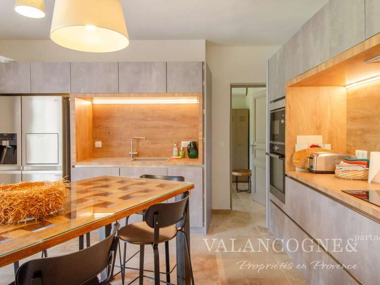 Maison Saint-Rémy-de-Provence - 4 chambres - 213m²
