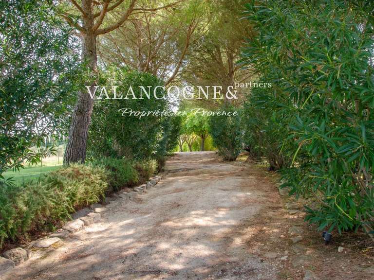 Maison Saint-Rémy-de-Provence - 5 chambres - 343m²