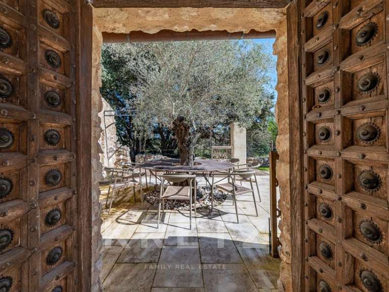 Maison Saint-Rémy-de-Provence - 6 chambres - 319m²