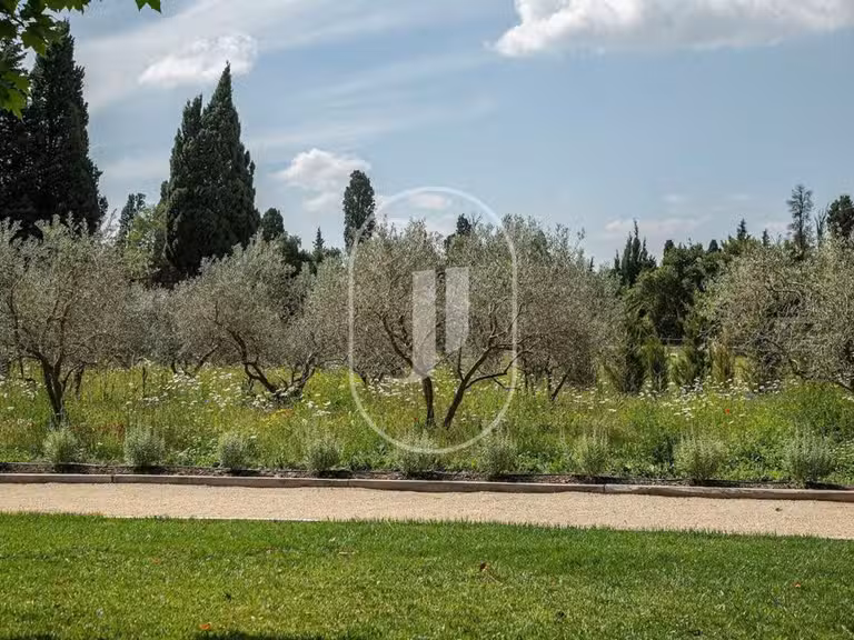 Maison Saint-Rémy-de-Provence - 5 chambres - 268m²