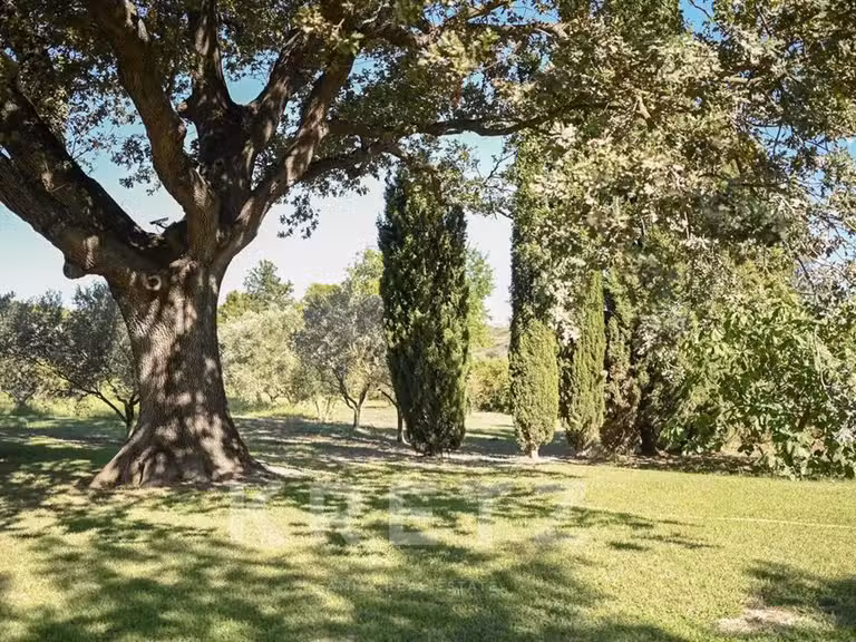 Maison Saint-Rémy-de-Provence - 11 chambres - 935m²