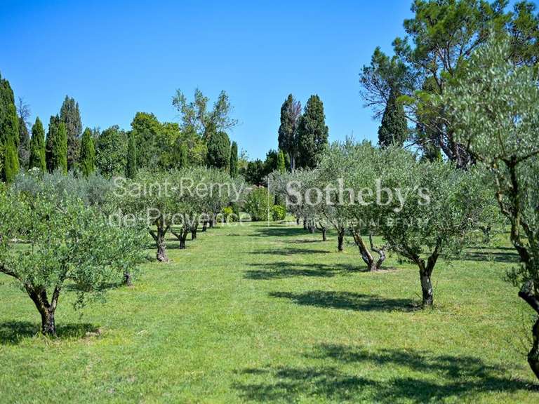 Propriété Saint-Rémy-de-Provence - 6 chambres - 600m²