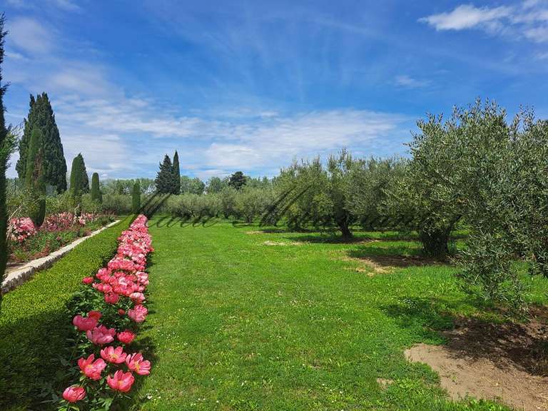 Propriété Saint-Rémy-de-Provence - 7 chambres - 600m²