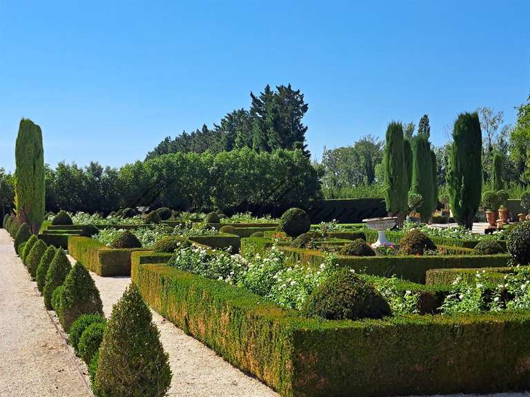 Propriété Saint-Rémy-de-Provence - 7 chambres - 600m²