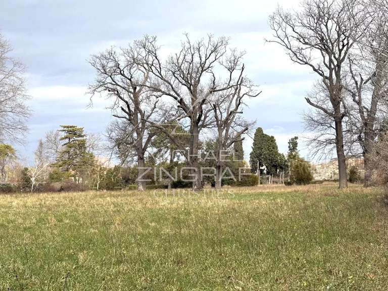 Land Saint-Rémy-de-Provence - 10000m²