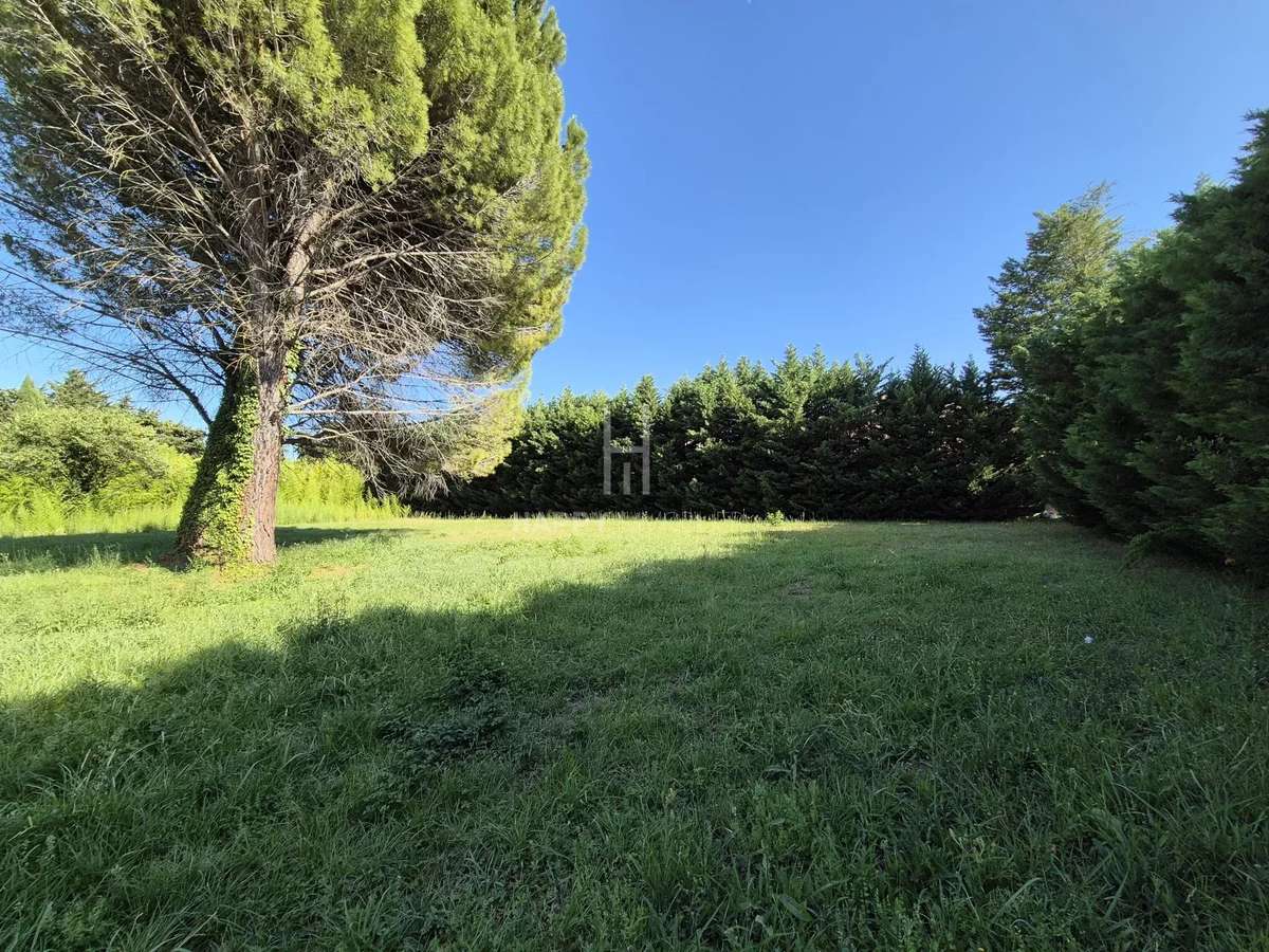 Land Saint-Rémy-de-Provence