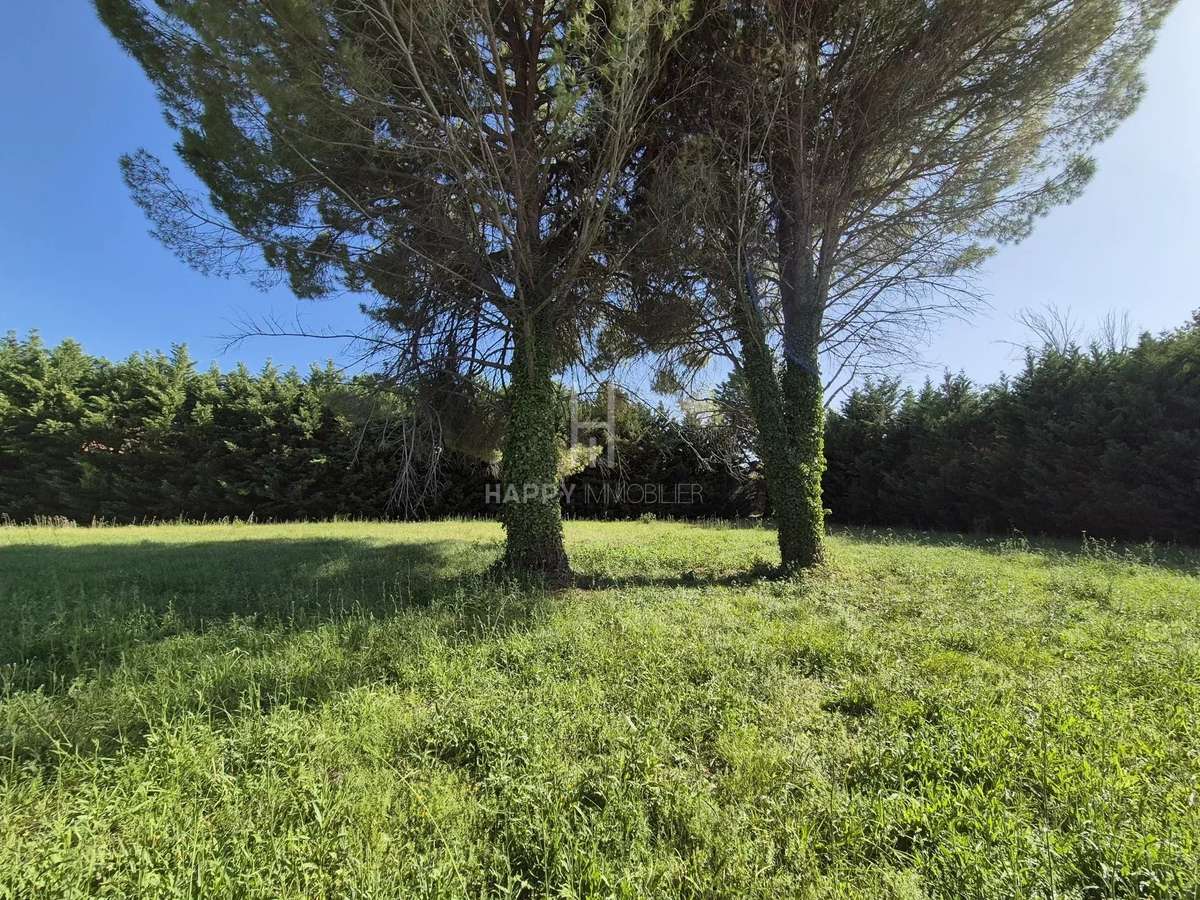 Land Saint-Rémy-de-Provence