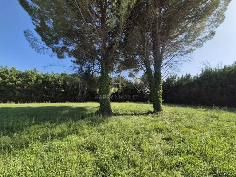 Land Saint-Rémy-de-Provence - 1200m²