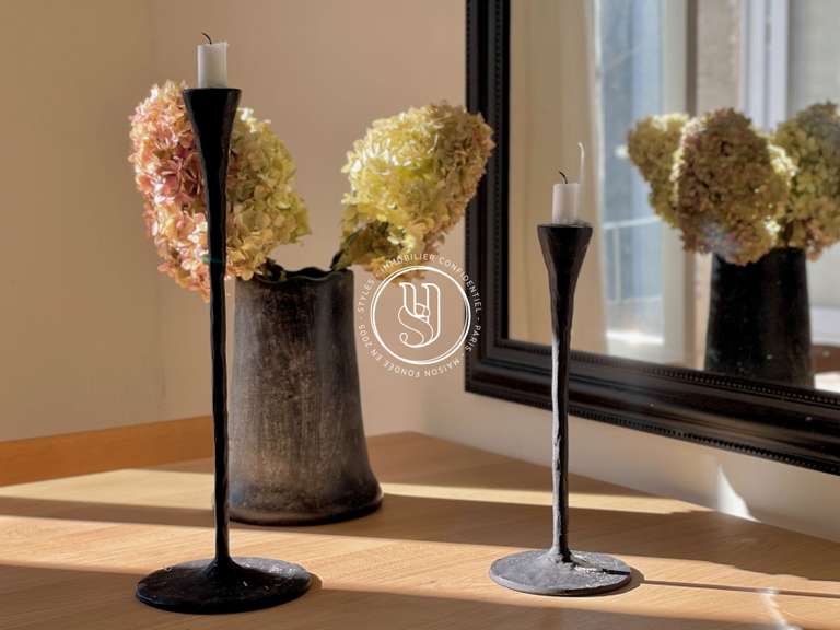 Villa Saint-Rémy-de-Provence - 4 chambres - 210m²