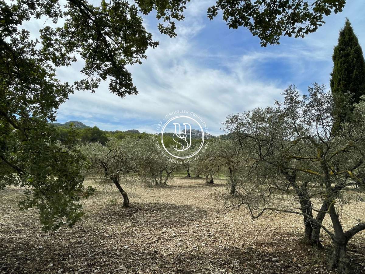 Villa Saint-Rémy-de-Provence