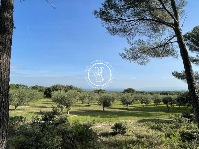 Villa Saint-Rémy-de-Provence - 5 bedrooms - 145m²