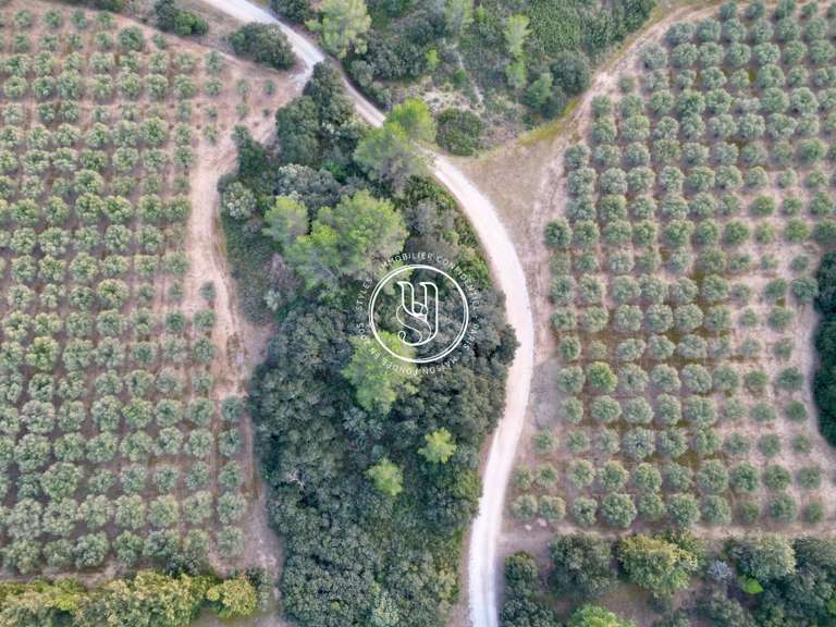 Villa Saint-Rémy-de-Provence - 7 bedrooms - 431m²