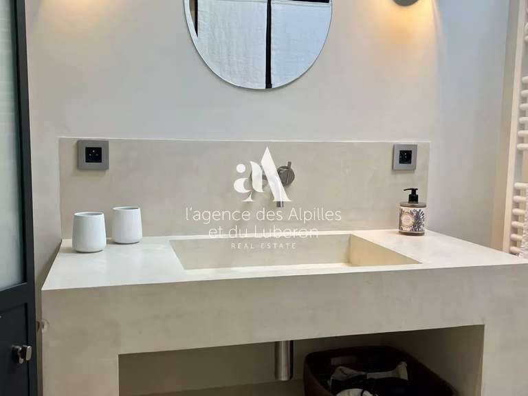 Villa Saint-Rémy-de-Provence - 4 chambres - 250m²