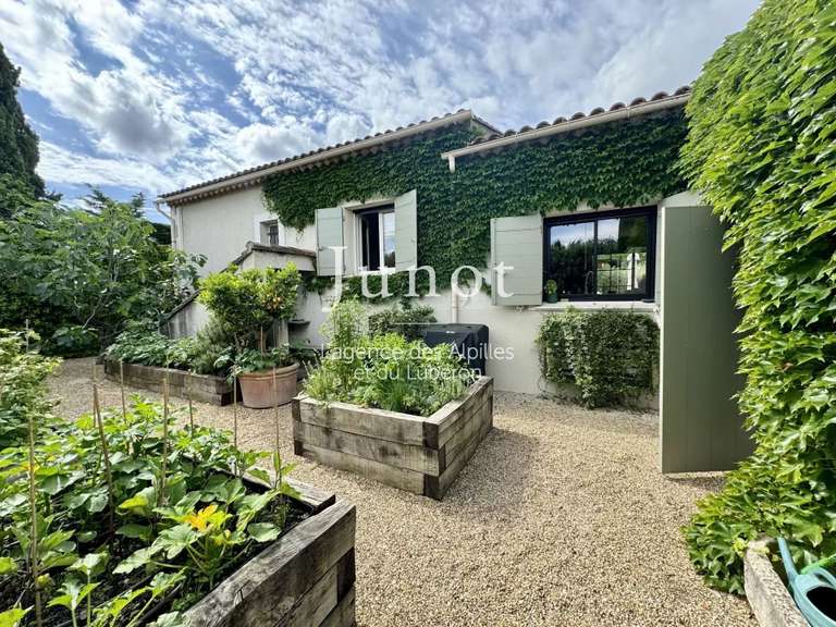 Villa Saint-Rémy-de-Provence - 4 chambres - 250m²