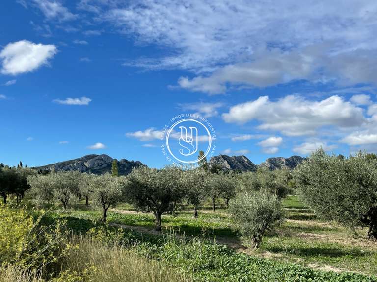 Villa Saint-Rémy-de-Provence - 5 bedrooms - 280m²