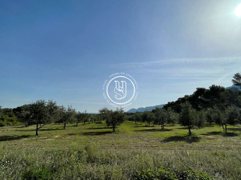 Villa Saint-Rémy-de-Provence - 500m²