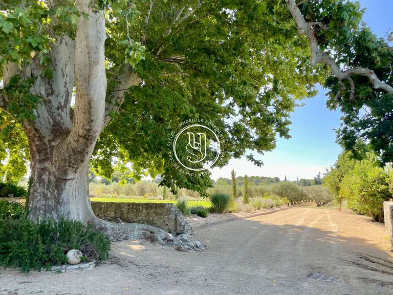 Villa Saint-Rémy-de-Provence - 8 chambres - 1213m²